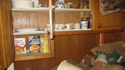 Lyons Creek Hoarder photo 3