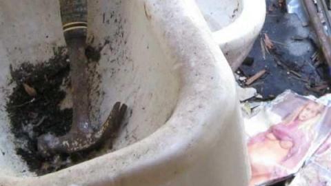 Lyons Horder (Adult Content) - Lyons-Creek-Hoarder7.jpg