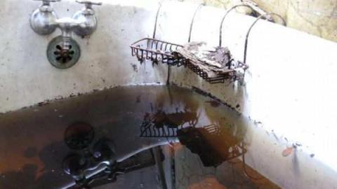 Lyons Horder (Adult Content) - Lyons-Creek-Hoarder15.jpg