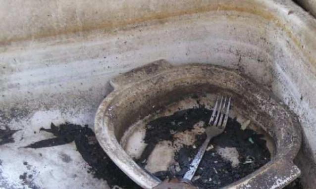 Lyons Creek Hoarder photo 5