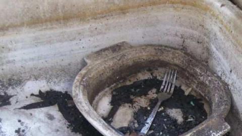 Lyons Creek Hoarder photo 5