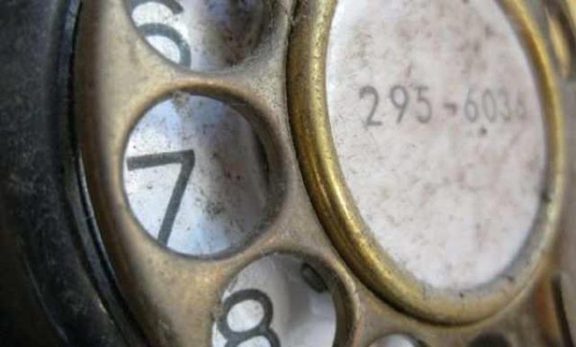 Lyons Creek Hoarder photo 4