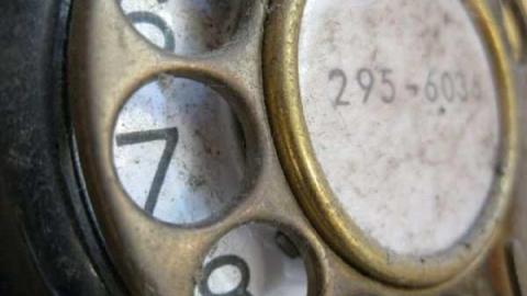 Lyons Creek Hoarder photo 4