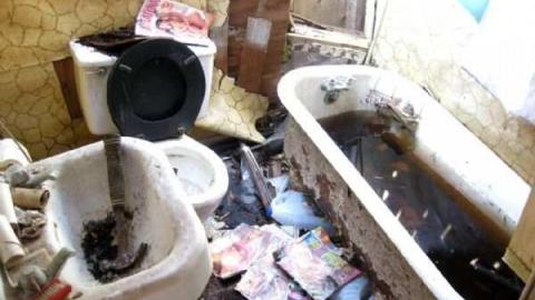 Lyons Horder (Adult Content) - Lyons-Creek-Hoarder20.jpg