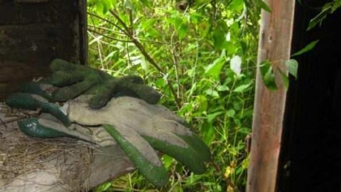 Miller Farm Overgrown Ruins - IMG_6730.jpg