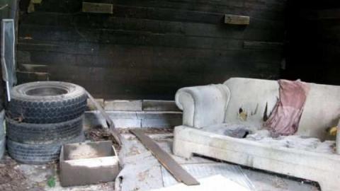 Miller Farm Overgrown Ruins - IMG_6733.jpg