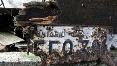 Miller Farm Overgrown Ruins - IMG_6740.jpg