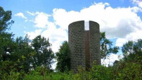 Miller Overgrown Remains - Niagara Falls, Ontario