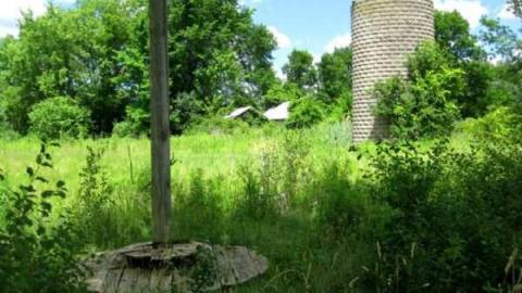 Miller Farm Overgrown Ruins - IMG_6746.jpg