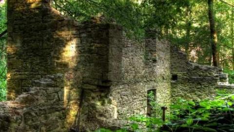 Calm and Dynamic - Barber-Dynamo58.jpg