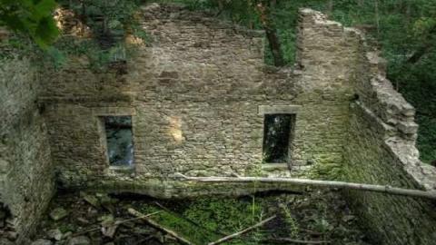 Barber Dynamo photo 5