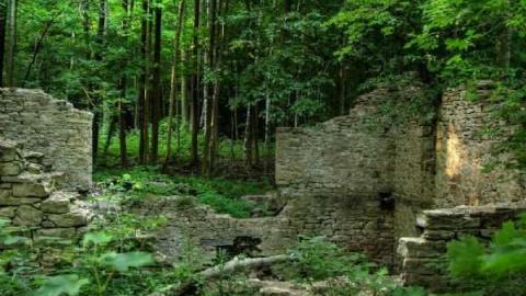 Barber Dynamo - Halton Hills, Ontario