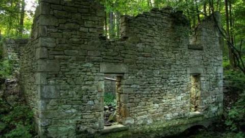 Calm and Dynamic - Barber-Dynamo60.jpg