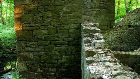 Calm and Dynamic - Barber-Dynamo53.jpg