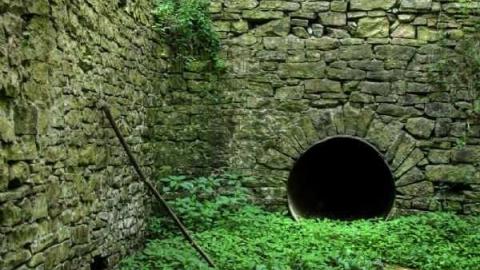 Calm and Dynamic - Barber-Dynamo61.jpg