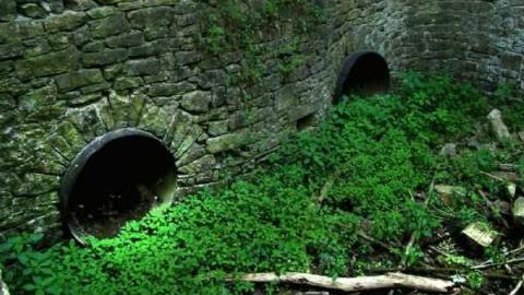 Calm and Dynamic - Barber-Dynamo54.jpg