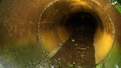 Barber Dynamo photo 3