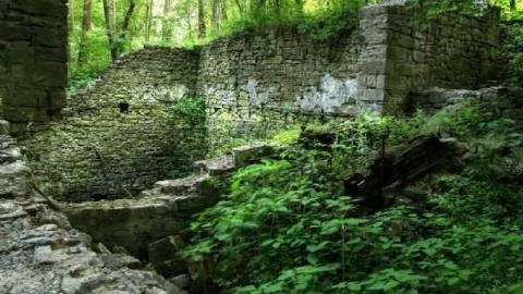 Calm and Dynamic - Barber-Dynamo55.jpg