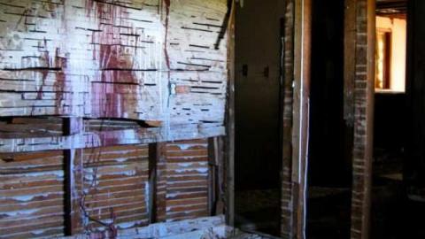 Old Bowen Road Farm photo 3