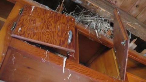 Bowen Road Farmhouse - Old-Bowen-Road-Farm27.jpg