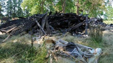 Photo from Nothing to see here