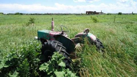 What's Left - DSC03893.jpg