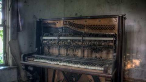 The barn is cool too! - Catherines-Farm24.jpg