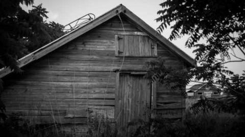 The barn is cool too! - Catherines-Farm131.jpg