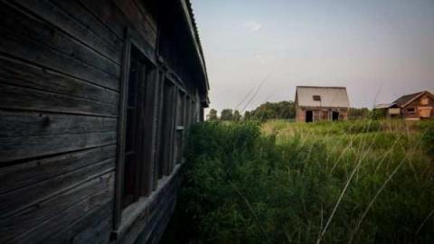 The barn is cool too! - Catherines-Farm30.jpg