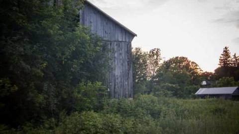 The barn is cool too! - Catherines-Farm33.jpg