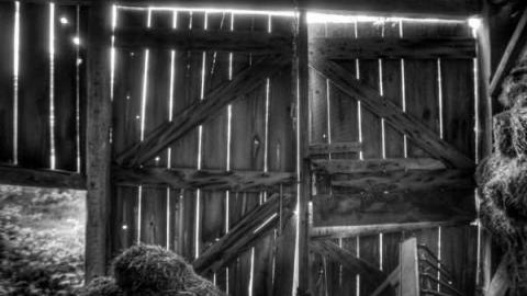 The barn is cool too! - Catherines-Farm37.jpg