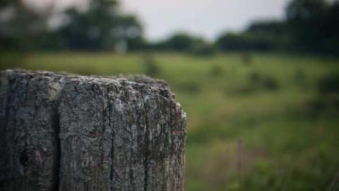 The barn is cool too! - Catherines-Farm38.jpg