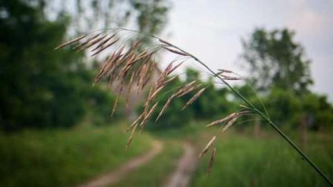 The barn is cool too! - Catherines-Farm142.jpg