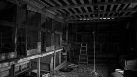 The barn is cool too! - Catherines-Farm148.jpg