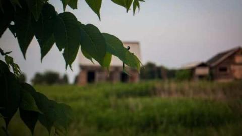 The barn is cool too! - Catherines-Farm149.jpg