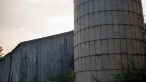 The barn is cool too! - Catherines-Farm150.jpg