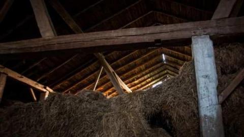 The barn is cool too! - Catherines-Farm152.jpg