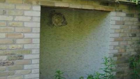 6/12 - Neglected-Manor212.jpg