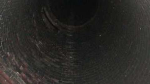 Photo from McCormick's Cookie and Candy