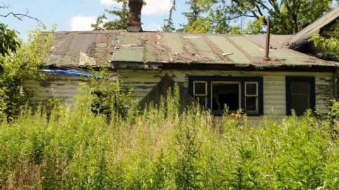 July 1 2012 - mississauga 001.jpg