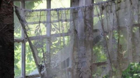 July 1 2012 - mississauga 023.jpg