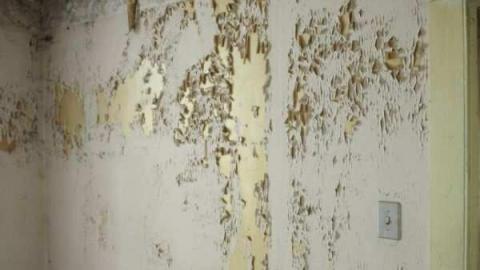 July 1 2012 - mississauga 034.jpg