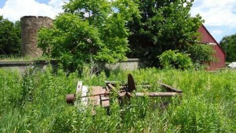 Bronte Road Beauty - 1470-Bronte-Road25.jpg