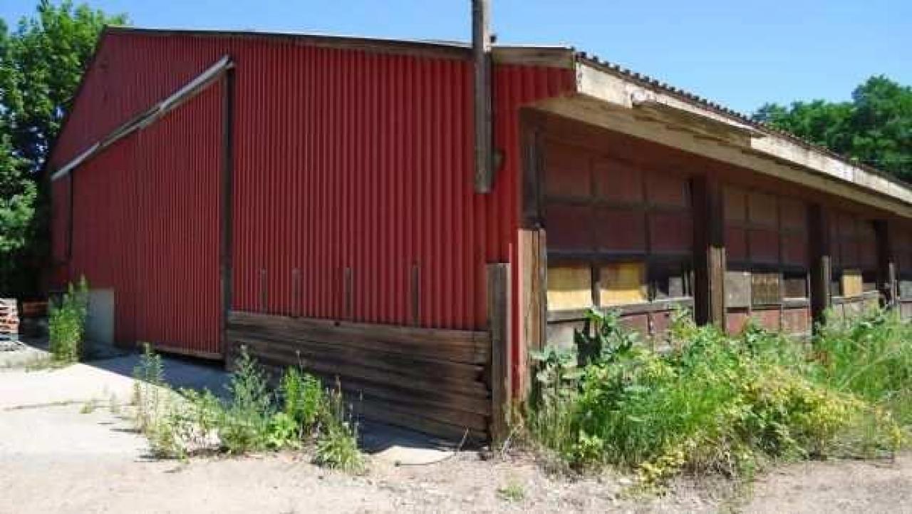 Bronte Road Beauty - 1470-Bronte-Road31.jpg