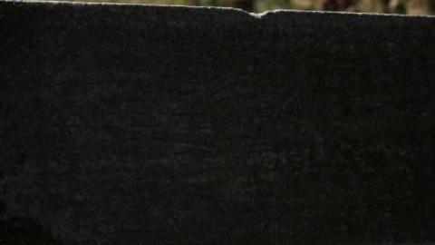 The Gall of the Pioneers - Galway-Cavendish-Pioneer-Cemeter8.jpg