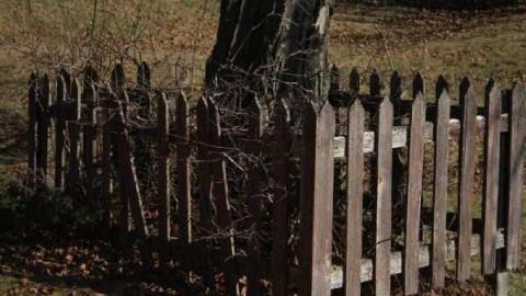 The Gall of the Pioneers - Galway-Cavendish-Pioneer-Cemeter10.jpg