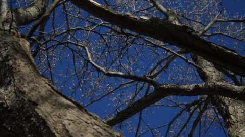 Galway Cavendish Pioneer Cemeter photo 3