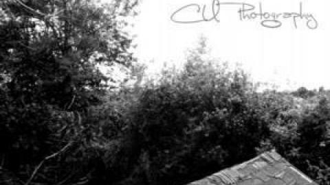 Gallery - IMG_0175.jpg