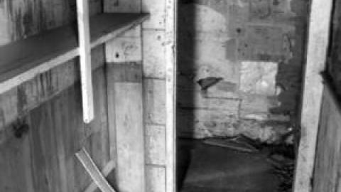 Gallery - IMG_0248.jpg