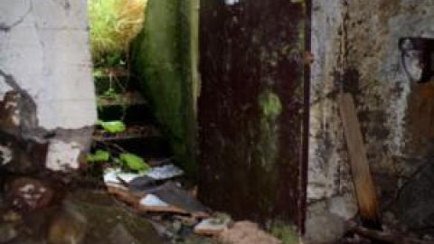 Gallery - IMG_0256.jpg